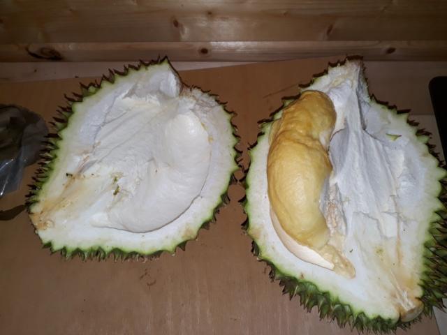 Durian | Uploaded by: smajli