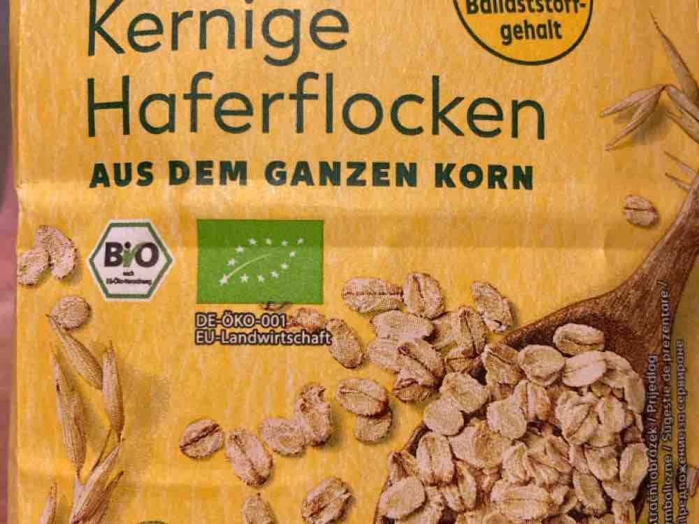 kernige Haferflocken, Bio von Kathi Soma | Hochgeladen von: Kathi Soma