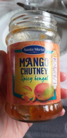 Mango Chutney Spicy Bengal von Zibbel71 | Hochgeladen von: Zibbel71