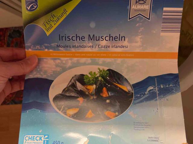 Irische Muscheln by Miichan | Uploaded by: Miichan