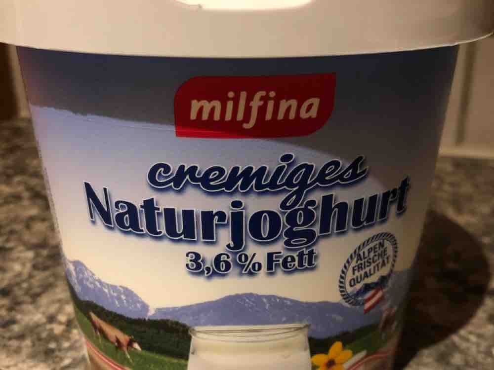 Naturjoghurt, Milch von J12 | Hochgeladen von: J12