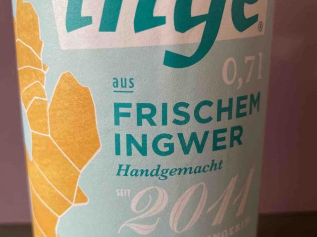 Inge Ingwersirup, 100 ml Fertigmischung (15ml Sirup:100ml Wasser | Hochgeladen von: reginewoehrl614