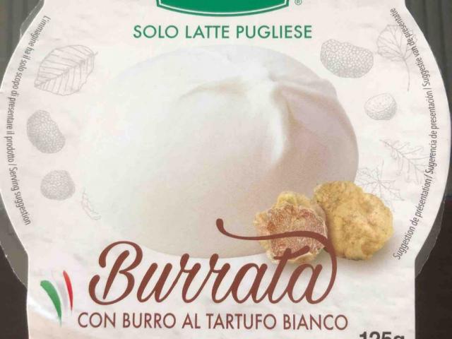 Burrata con Tartufo Bianco, Käse von lachenderbuddha | Hochgeladen von: lachenderbuddha