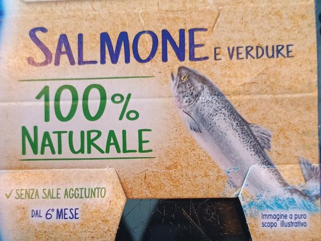 Omogenizzato Salmone von SerenaC | Hochgeladen von: SerenaC