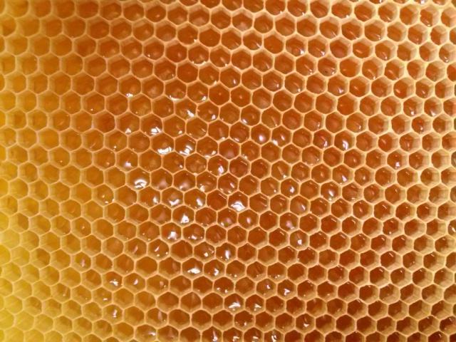 Bienenhonig, Durchschnitt | Hochgeladen von: chaoz