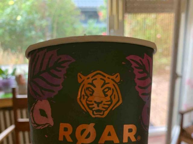 Roar Ice cream, vegan von wernerhenke | Hochgeladen von: wernerhenke