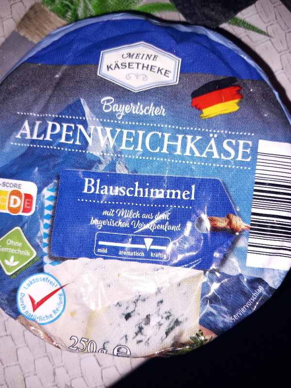 Bayrischer Alpenweichkäse, Blauschimmel von Marina Vlzke | Hochgeladen von: Marina Vlzke