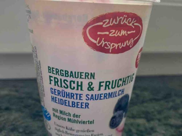 gerührt Sauermilch Heidelbeer von Mpiuk | Hochgeladen von: Mpiuk