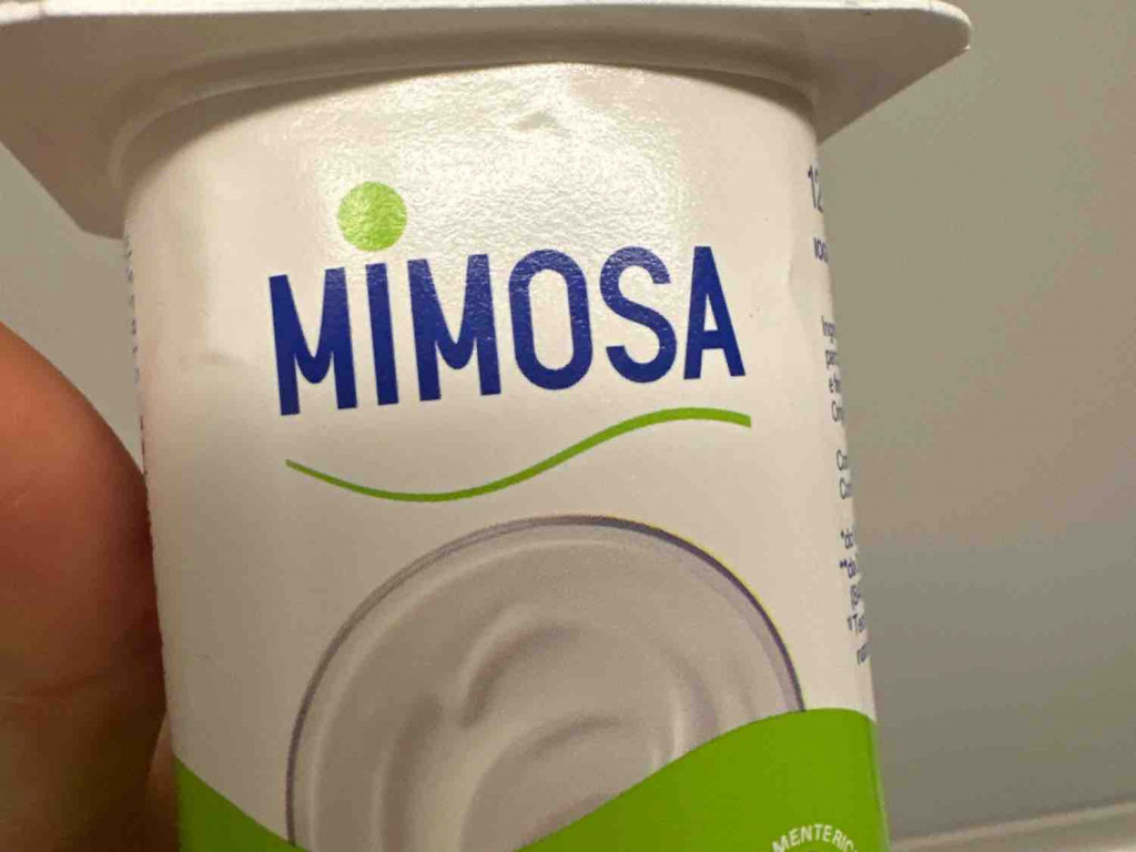 mimosa jogurte natural von laura006 | Hochgeladen von: laura006