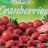 Snack-Cranberries, ganze Früchte von Tabun | Hochgeladen von: Tabun