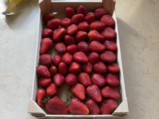 Hochgeladen von: dorismgmxat