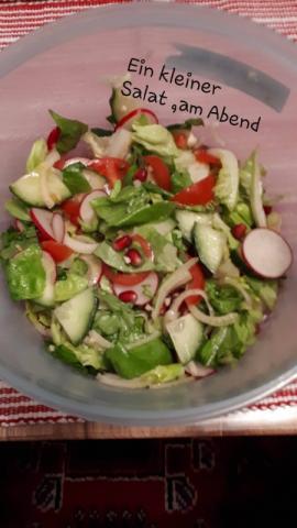 Bunter Snack Salat mit Dressing | Hochgeladen von: Muckelchen2407