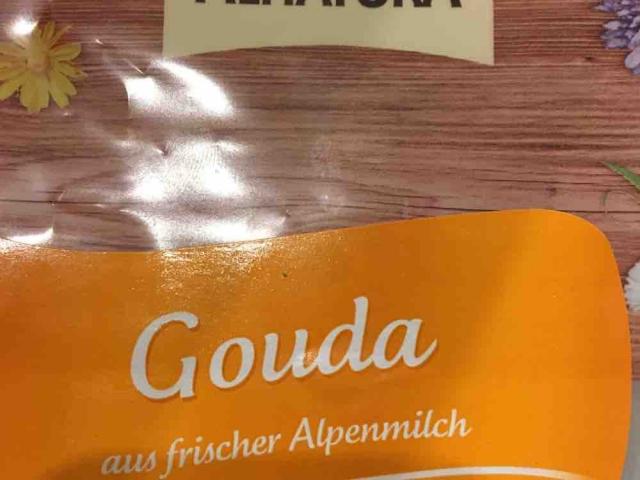 Gouda Käse, frische Alpenmilch von razor1975599 | Hochgeladen von: razor1975599