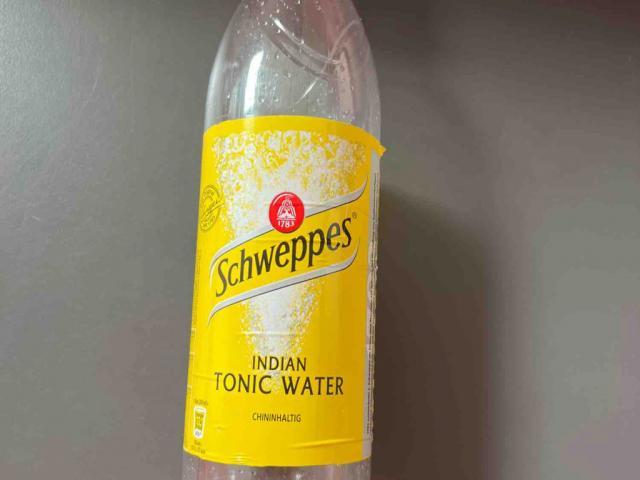 Schweppes Indian Tonic Water, Chininhaltig, Tonic von konstantin | Hochgeladen von: konstantinotmarheinz