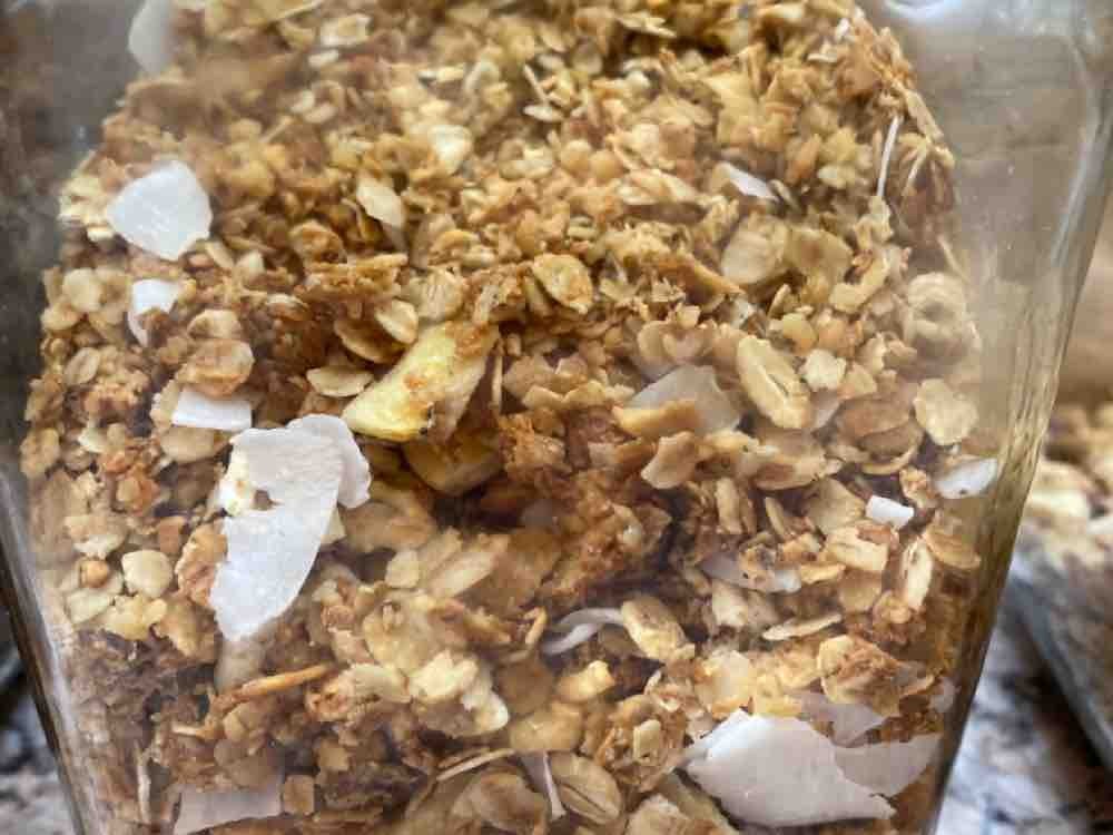 Granola Tropicana von auroranuklearis | Hochgeladen von: auroranuklearis