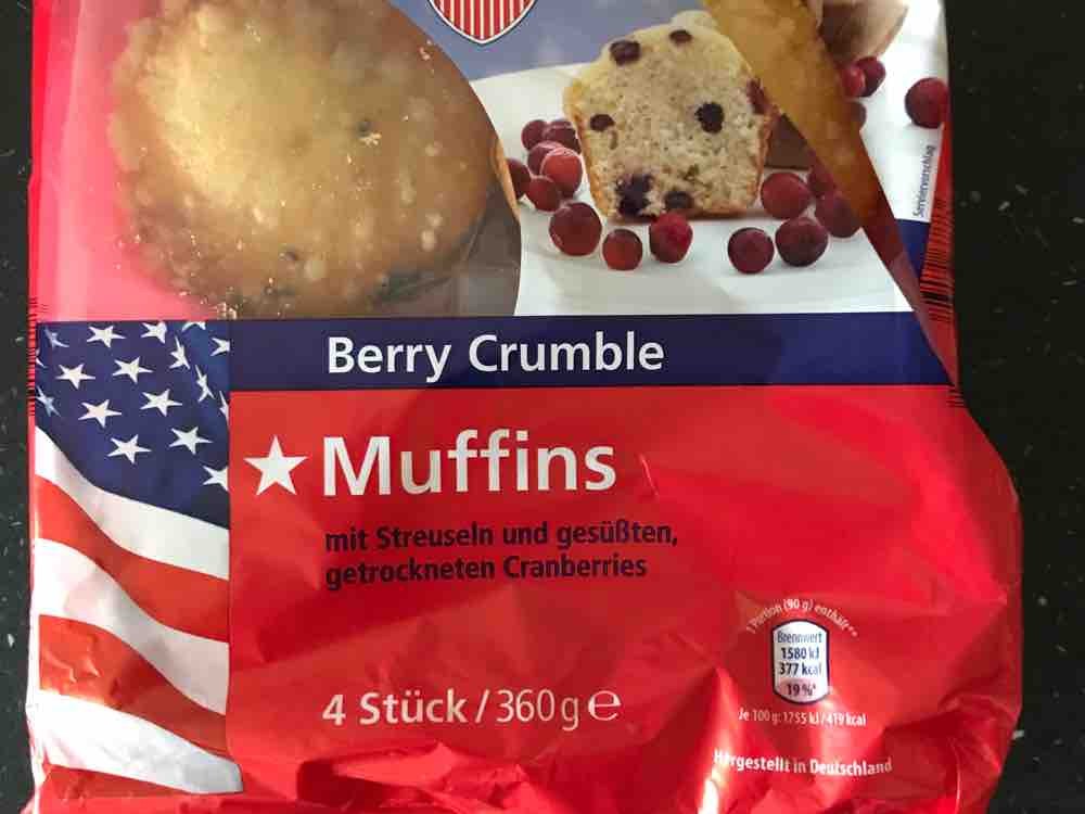 American Muffins, mit Schokoladenstückchen von LutzR | Hochgeladen von: LutzR