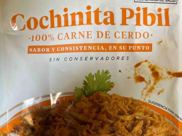 cochinita pibil by VeroSu | Uploaded by: VeroSu