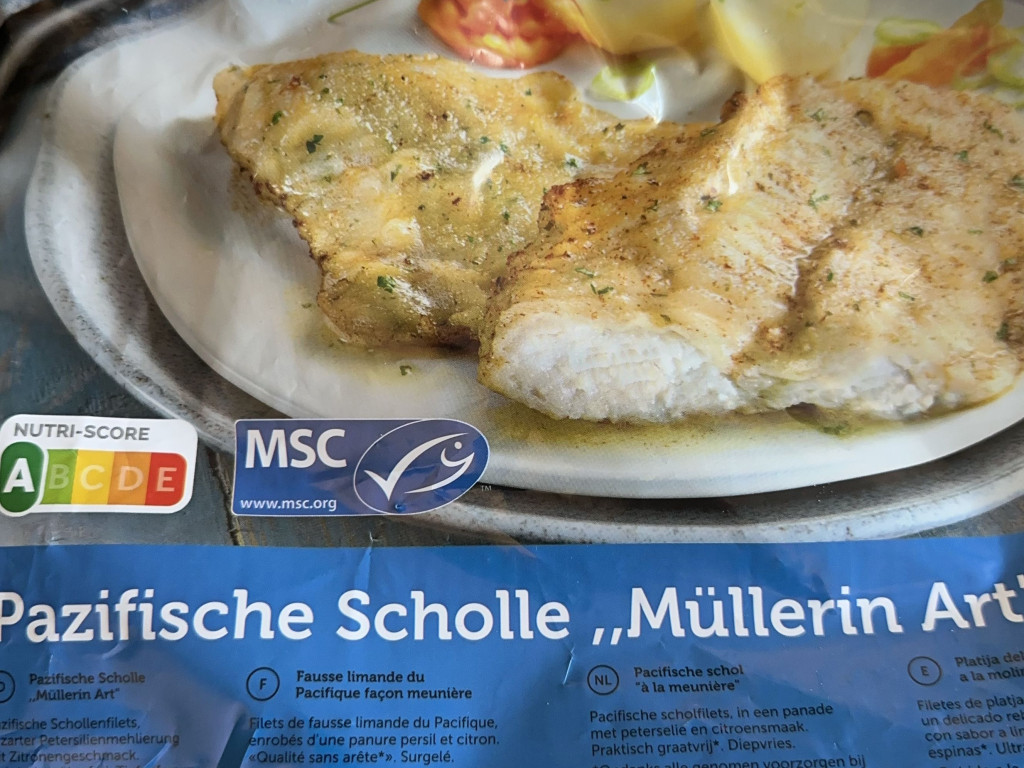 Pazifische Scholle Müllerin Art von MichaelMulterer | Hochgeladen von: MichaelMulterer