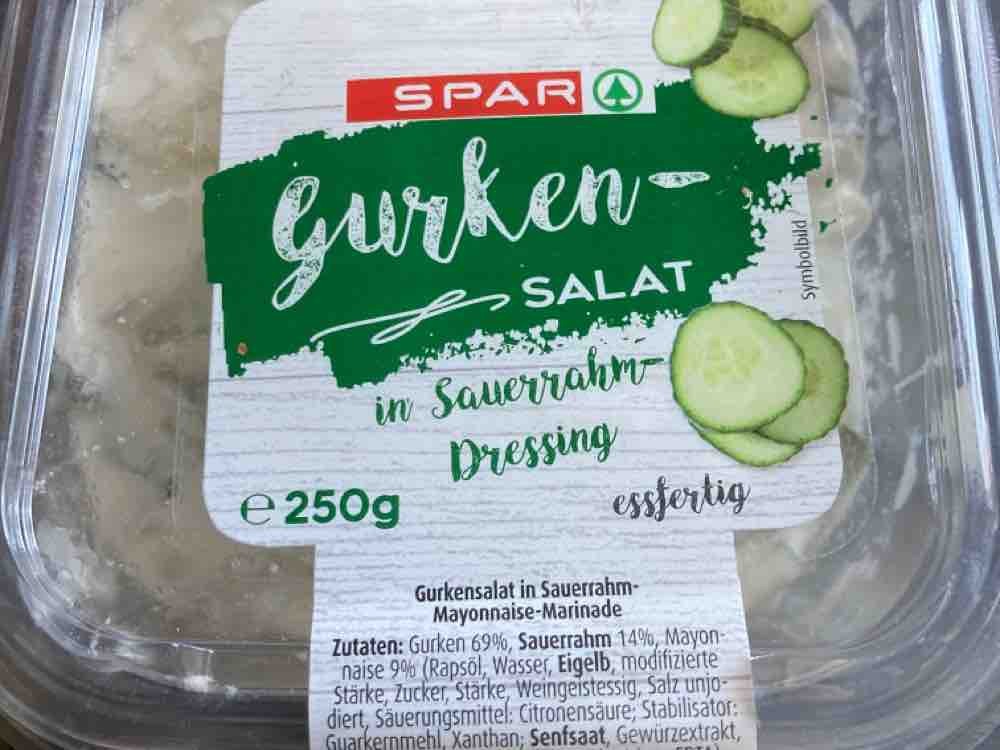 Gurkensalat (essfertig) von burghard1 | Hochgeladen von: burghard1
