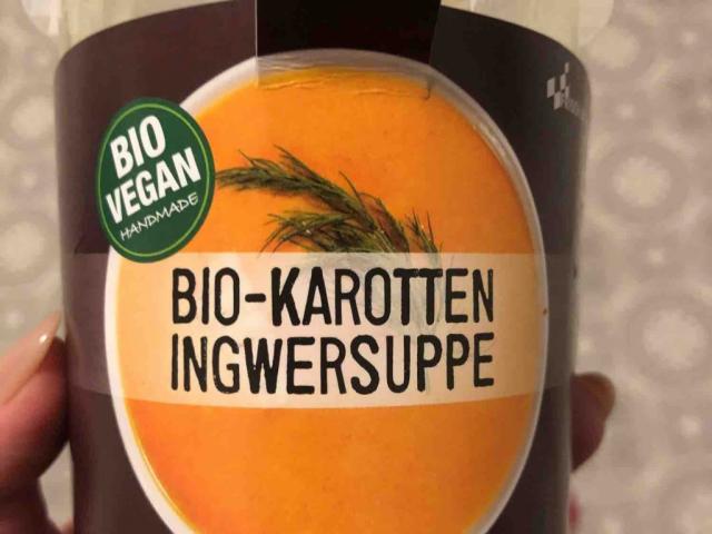 bio -Karotten  Ingwer Suppe potpure von ninadancer | Hochgeladen von: ninadancer