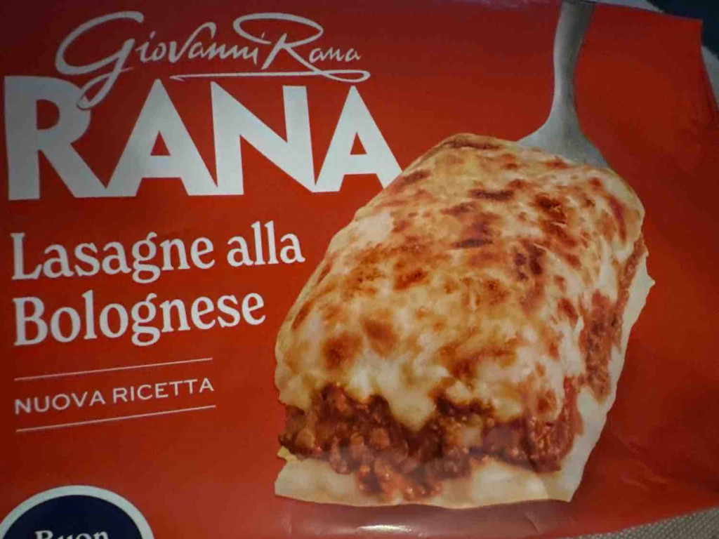 Lasagne alla Bolognese von Achnee | Hochgeladen von: Achnee