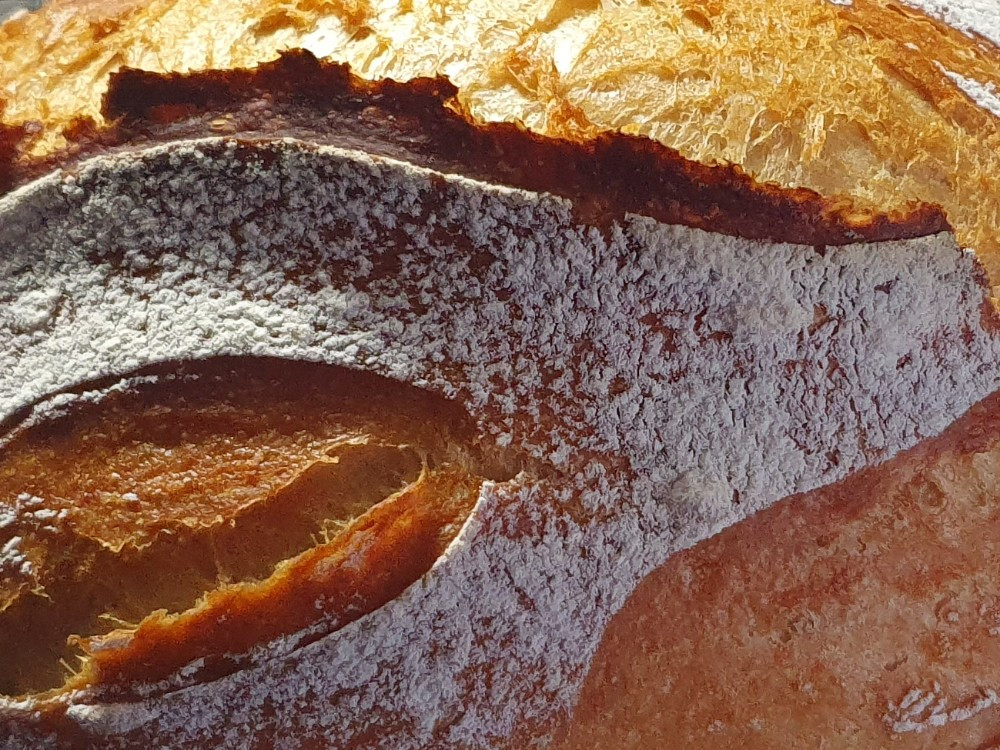 Hochgeladen von: anka12