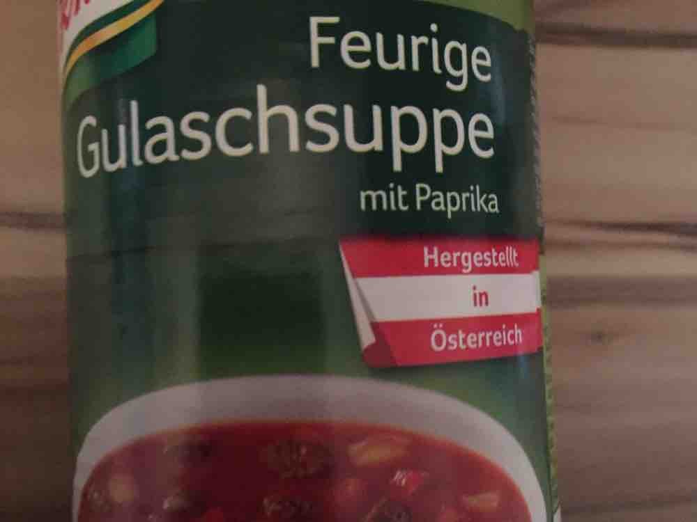 Feurige Gulaschsuppe mit Paprika von smidt398 | Hochgeladen von: smidt398