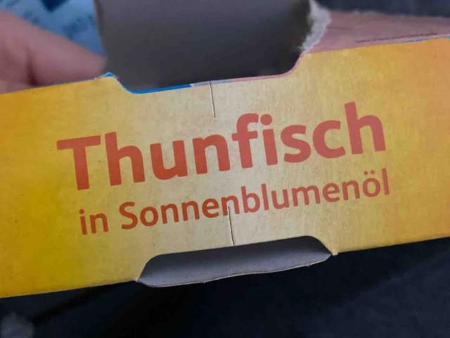 thunfisch sonnenblumenöl by rp2 | Uploaded by: rp2