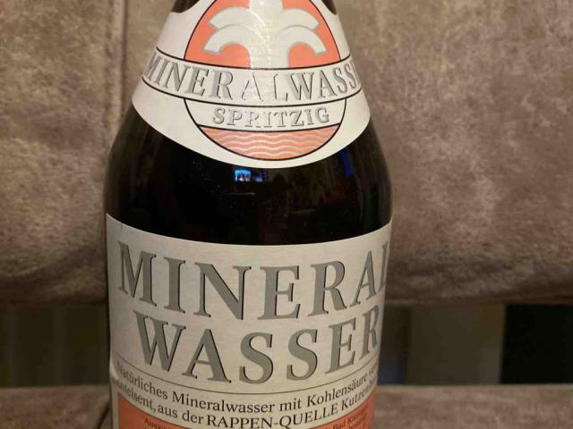 Rapp Mineralwasser spritzig von AnneFinchen | Hochgeladen von: AnneFinchen