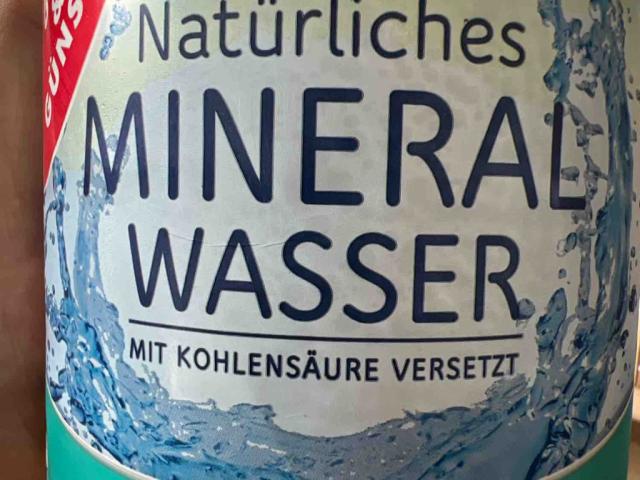 Natürliches Mineralwasser Quelle Bruchsal von Michele DiFiggiano | Hochgeladen von: Michele DiFiggiano