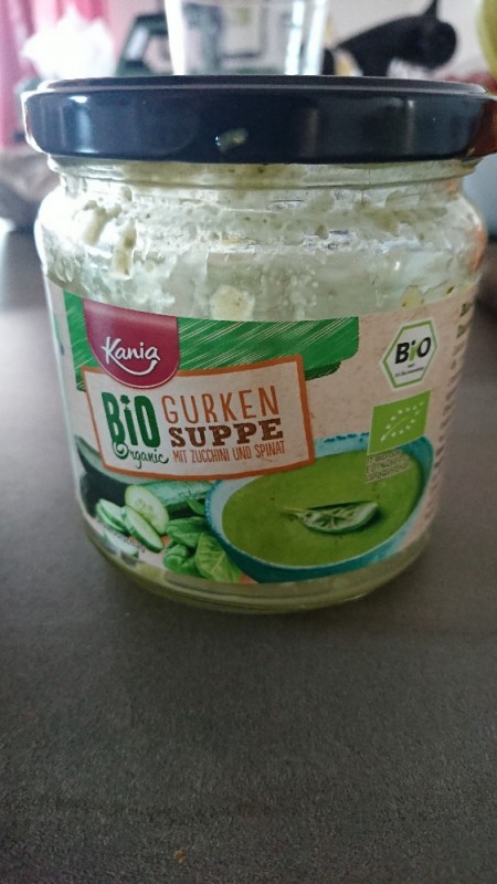 Bio Gurkensuppe, mit Zucchini und Spinat von Raupentiger | Hochgeladen von: Raupentiger
