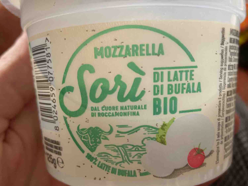 Mozzarella du Latte di Bufala Bio von Sebastianfi98 | Hochgeladen von: Sebastianfi98