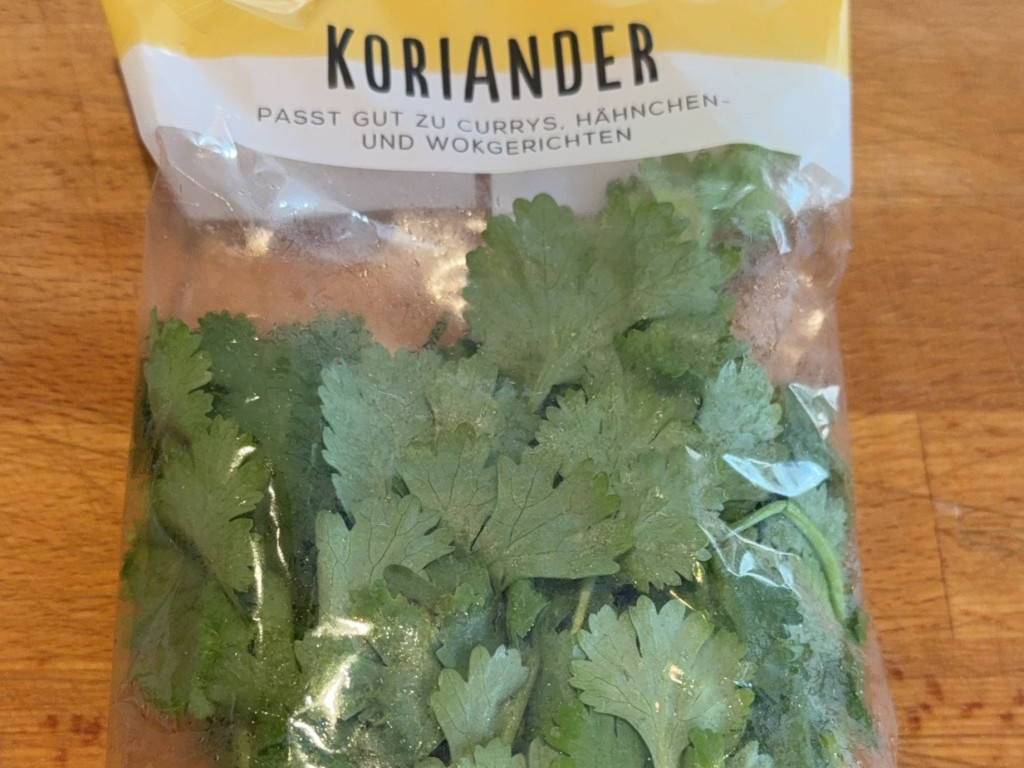 Hochgeladen von: Webturtle