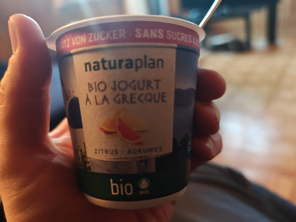 Bio Jogurt à la Grecque Zitrus, ohne Zuckerzusatz by cannabold | Hochgeladen von: cannabold