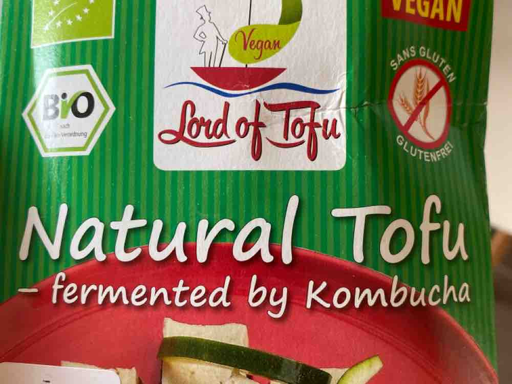 Natural Tofu, fermentiert mit Kombucha von luisemosig | Hochgeladen von: luisemosig