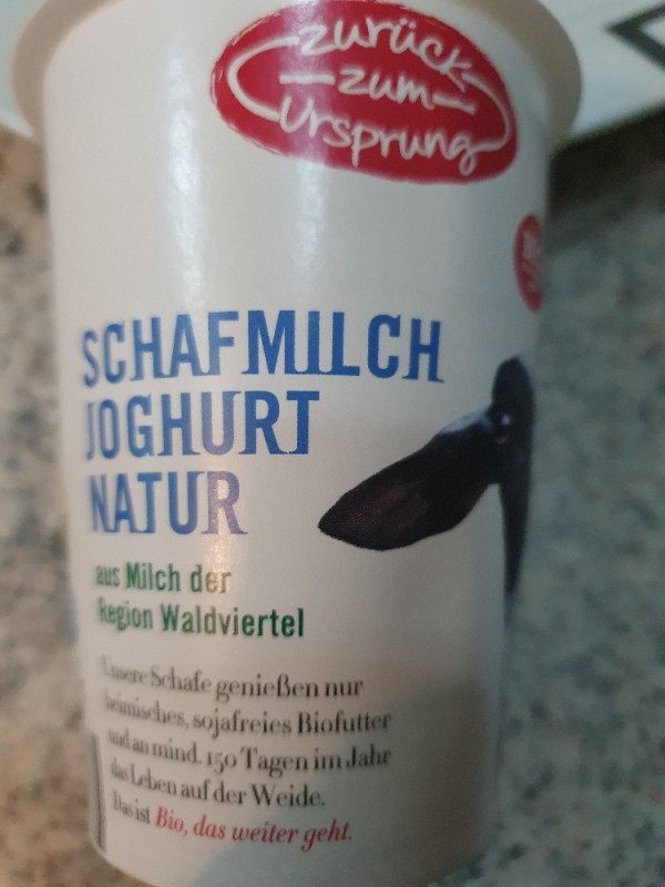 Schafsmilchjoghurt Natur, Bio von nicolefeldmann393 | Hochgeladen von: nicolefeldmann393