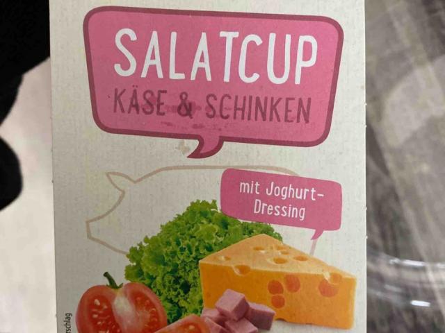 salatcup by TMinh13 | Uploaded by: TMinh13