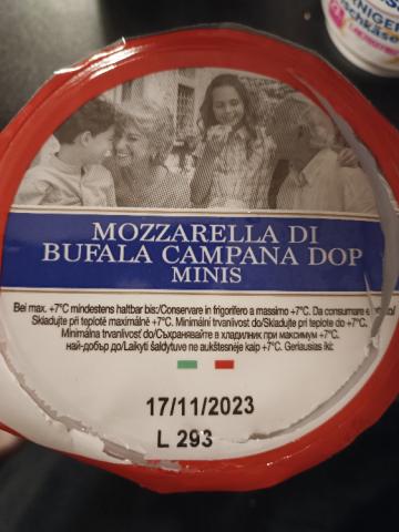 Mozzarella di Buffala, Campana Doo Minis by sunnyrdtzk | Uploaded by: sunnyrdtzk