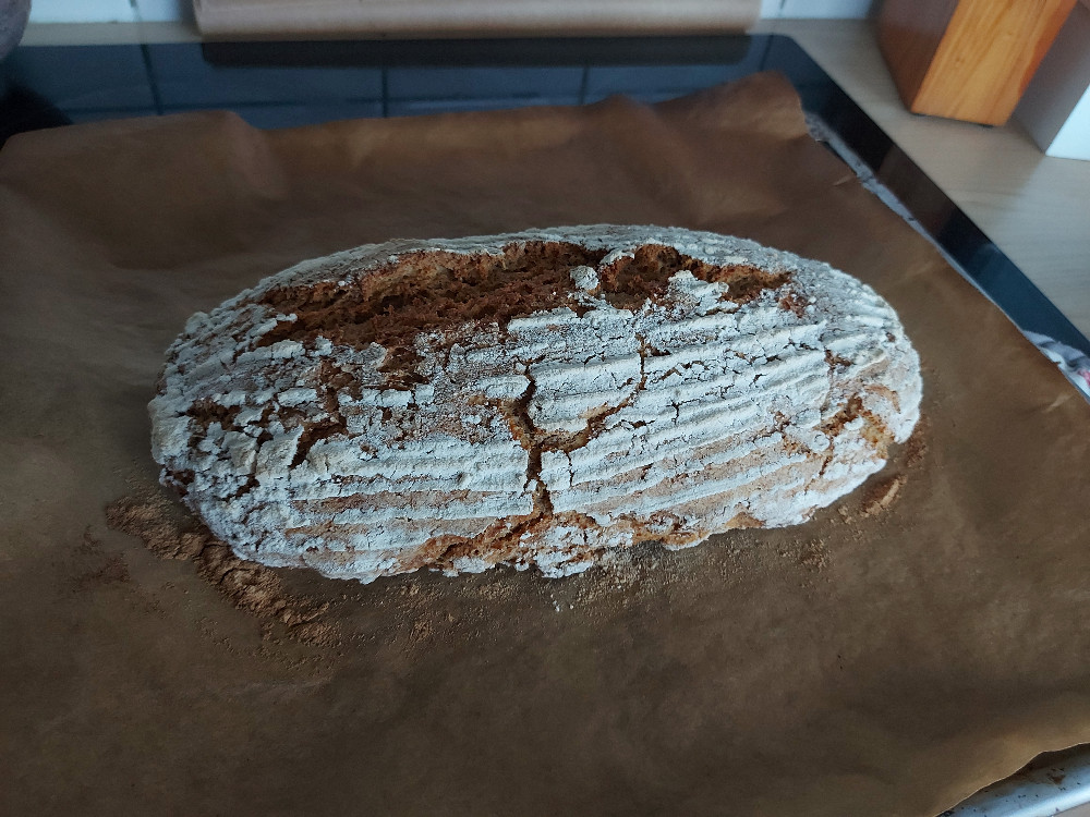 Weizen-Hafer-Brot von Quarzeule | Hochgeladen von: Quarzeule Weizen-Hafer-Brot von Quarzeule | Hochgeladen von: Quarzeule