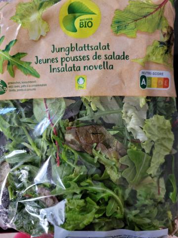 Jungblattsalat von Anjani73 | Hochgeladen von: Anjani73