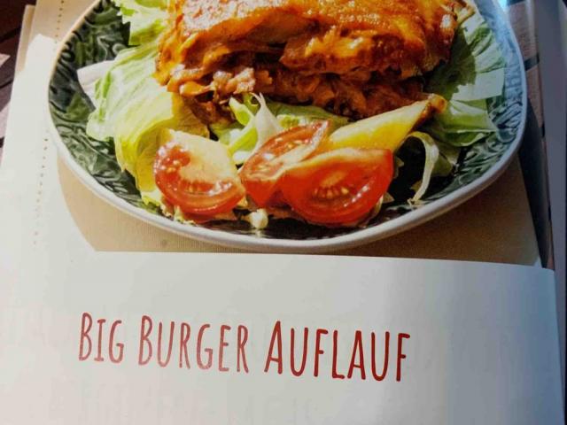 Low carb kompendium big Burger Auflauf von andrea8888 | Hochgeladen von: andrea8888