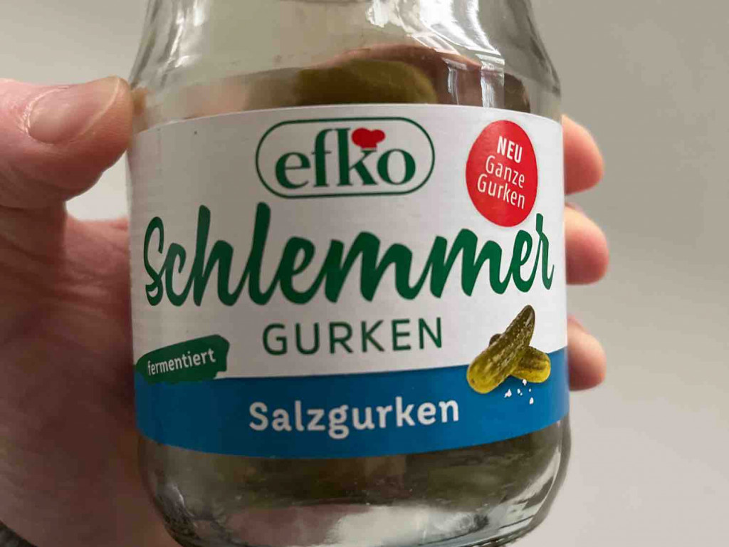 Schlemmer Gurken, Salzgurken von mjakl | Hochgeladen von: mjakl