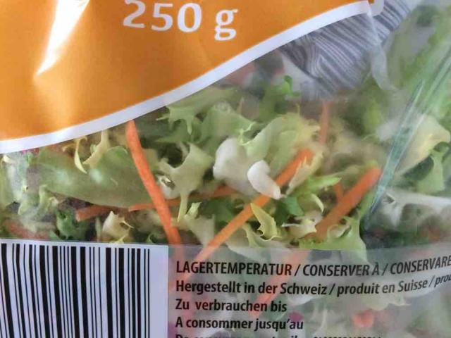 Gärtnersalat Fresh Cut, Salat von maries | Hochgeladen von: maries