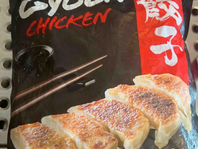 Gyoza Chicken von HuyBuuh | Hochgeladen von: HuyBuuh