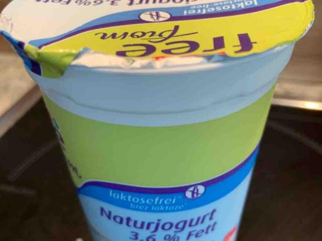 Naturjoghurt 3,6% Fett, laktosefrei von z2020 | Hochgeladen von: z2020