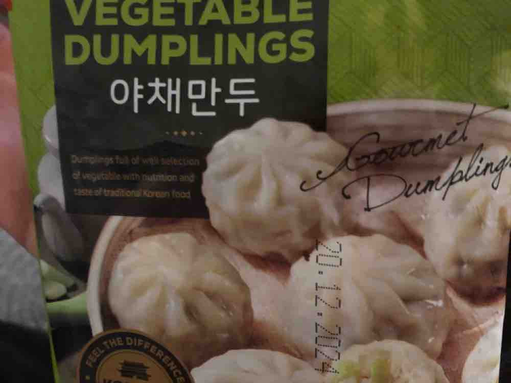 Vegetable Dumplings von bennynaut | Hochgeladen von: bennynaut