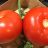 Bio Rispen Tomaten, Tomate von prcn923 | Hochgeladen von: prcn923