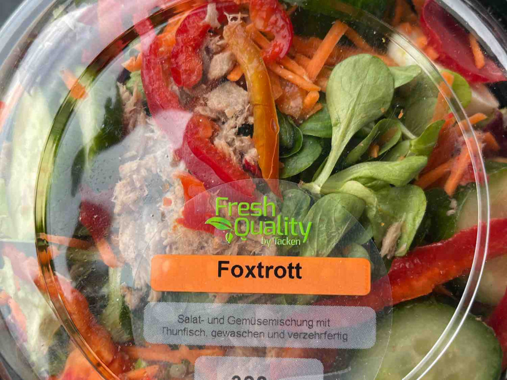 Salat Foxtrott, Thunfisch von bastian97 | Hochgeladen von: bastian97