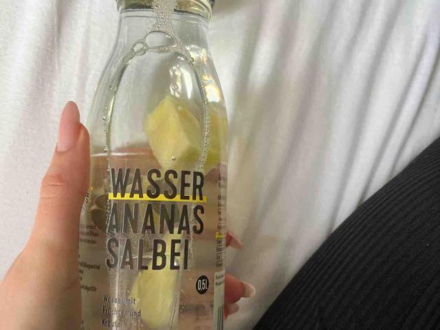 WASSER ANANAS SALBEI von lealiebsam | Hochgeladen von: lealiebsam