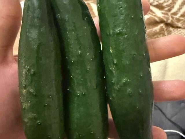 Hochgeladen von: Abdominis